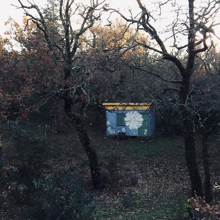 La Maison De Mado Et Sa Cabane Dans Les Arbres Plan d'Aups المظهر الخارجي الصورة