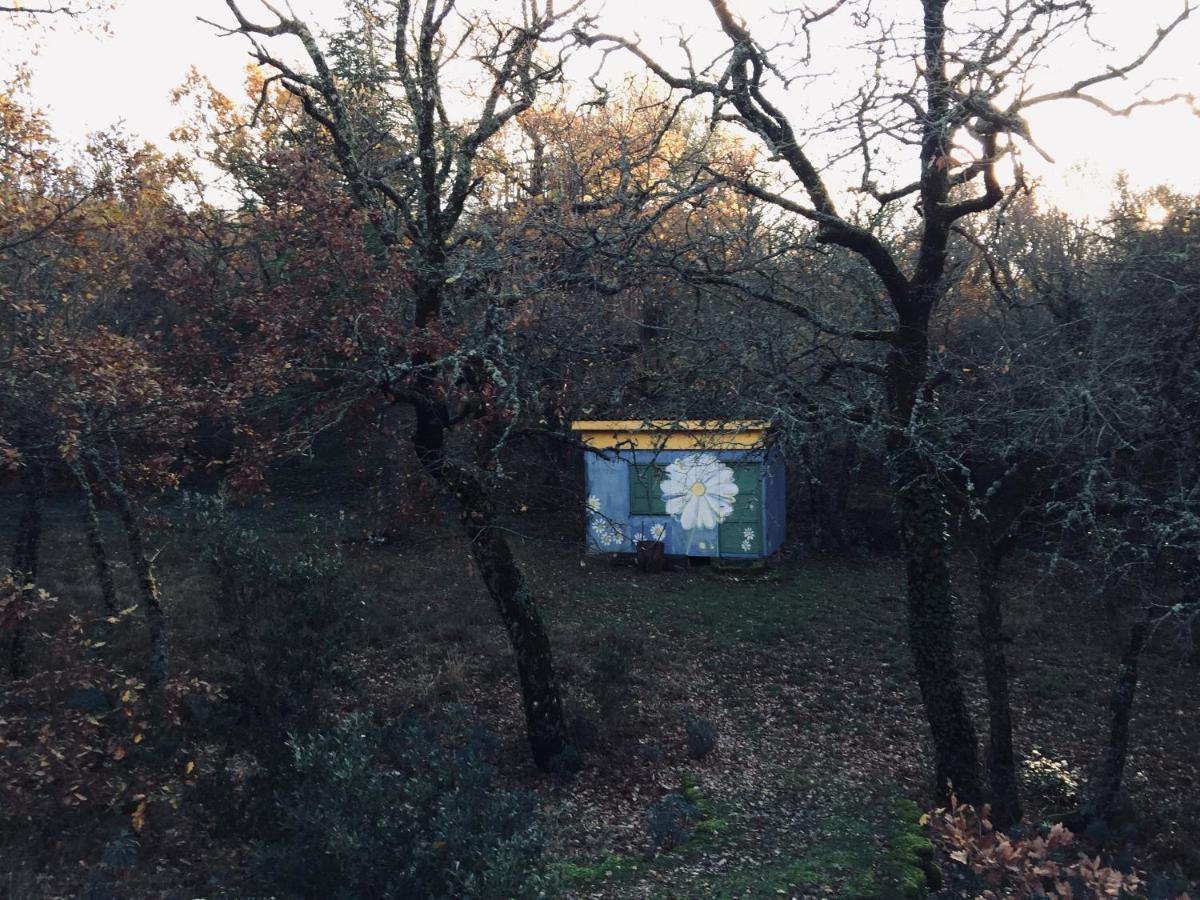 La Maison De Mado Et Sa Cabane Dans Les Arbres Plan d'Aups المظهر الخارجي الصورة