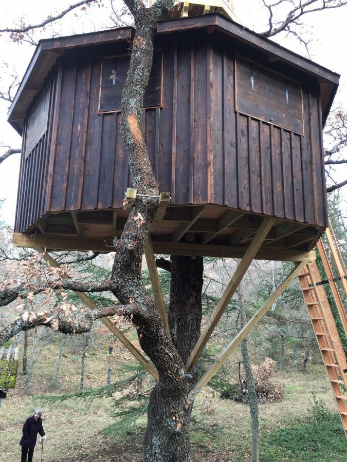 La Maison De Mado Et Sa Cabane Dans Les Arbres Plan d'Aups المظهر الخارجي الصورة